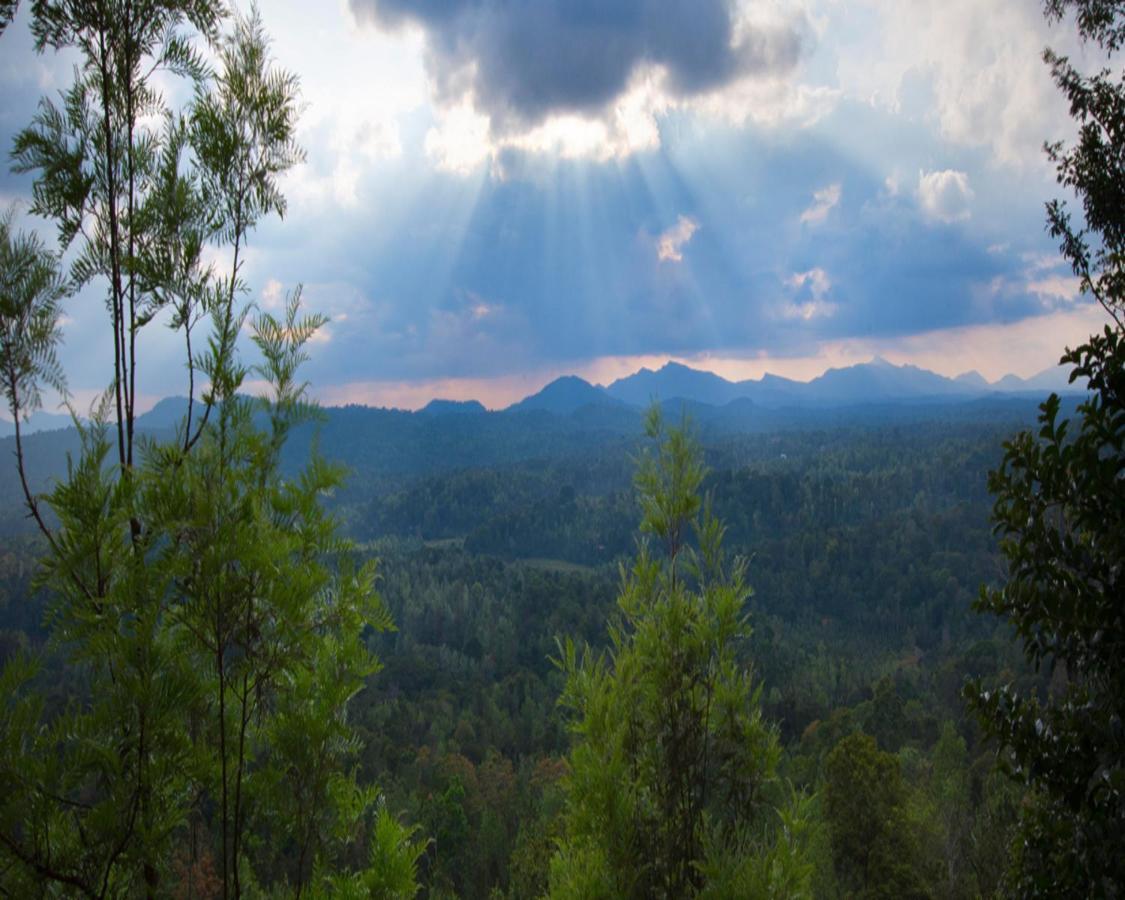 Coorg Cliffs Resorts Ammatti Dış mekan fotoğraf